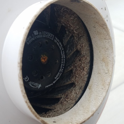 Radon fan full of bugs. Radon Safe Homes and Businesses
